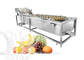 Lavatrice di verdure multifunzionale della frutta che ordina la linea di essicazione all'aria e di elaborazione fornitore