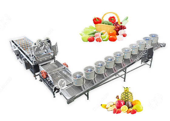 Porcellana Lavaggio su misura efficiente di verdura e della frutta ed asciugare la linea di produzione fornitore